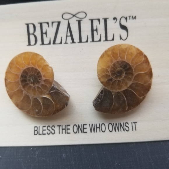 Ammonite Fossil Earrings - Picture 3 of 5